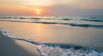 Investigation Underway After Death of Woman Found at Hilton Head Island