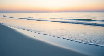 Alligator Spotted on Hilton Head Island Beach