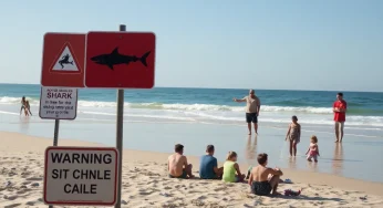 12-Year-Old Girl Airlifted After Shark Bite in South Carolina