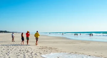 Swimmer Airlifted After Shark Bite on Hilton Head Island