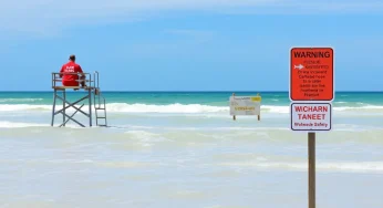Shark Bite Incident on Hilton Head Island Leaves Girl Injured