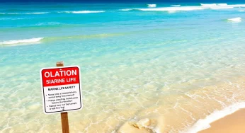12-Year-Old Girl Airlifted After Shark Bite on Hilton Head Island