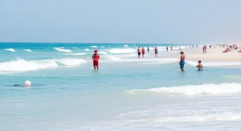 Shark Activity Prompts Beach Closures on Hilton Head Island