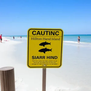 Lifeguards monitoring beach safety at Hilton Head Island