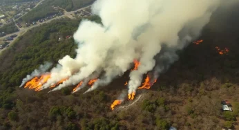 Wildfires Force State of Emergency in South Carolina