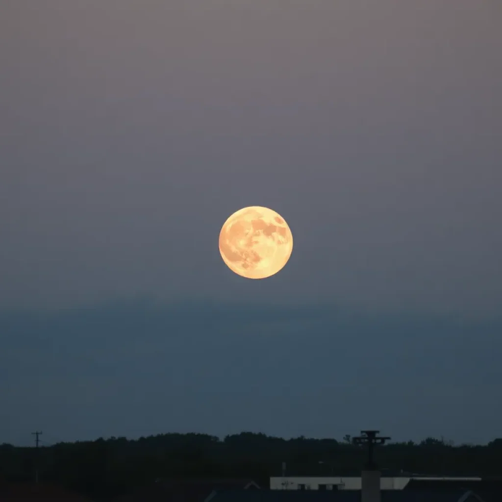 Strawberry moon rising over South Carolina landscape
