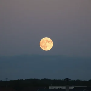Strawberry moon rising over South Carolina landscape