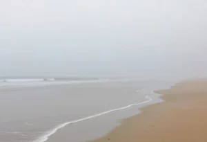 Fog enveloping the beach at Hilton Head Island during a serene morning.