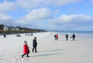 Chilly beach scene on Hilton Head Island with residents enjoying winter activities.