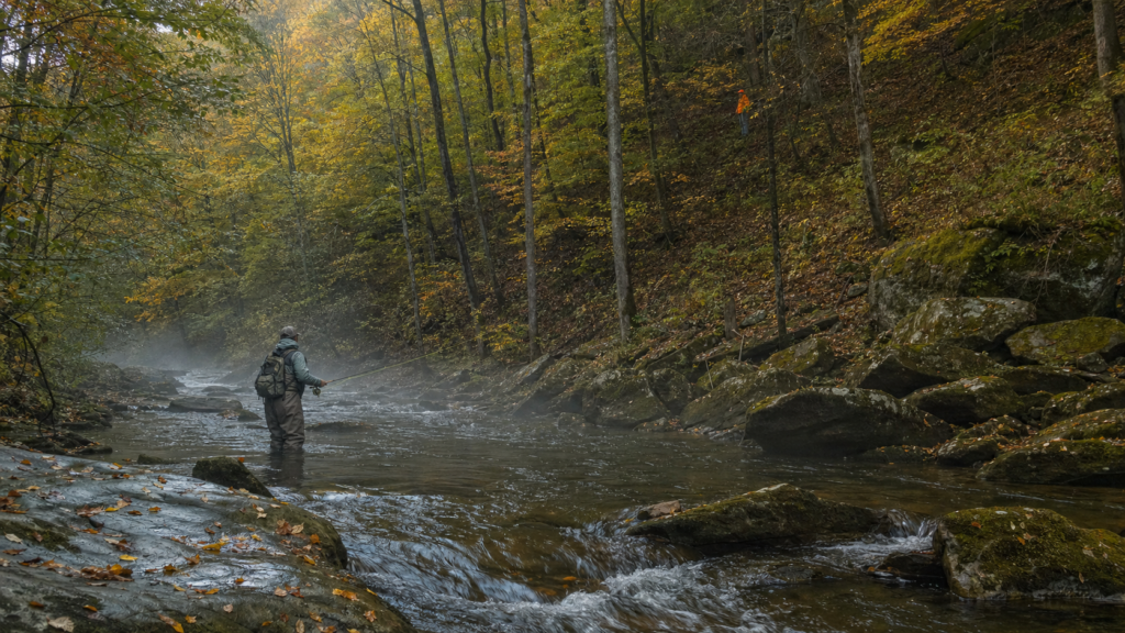 Study urges Pennsylvania wildlife agencies to team up