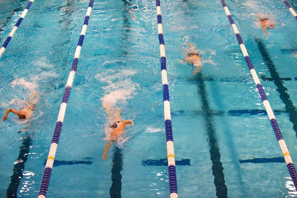 Swimmers racing in pool lanes