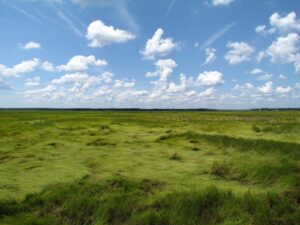 Hilton Head Island, County Spend .2M to Shield 18 Acres Oct 31, 2026