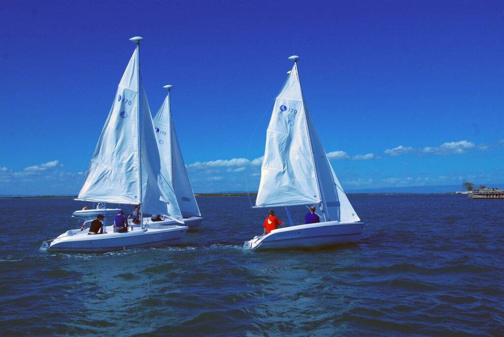 Sailboats racing across open water during a regatta